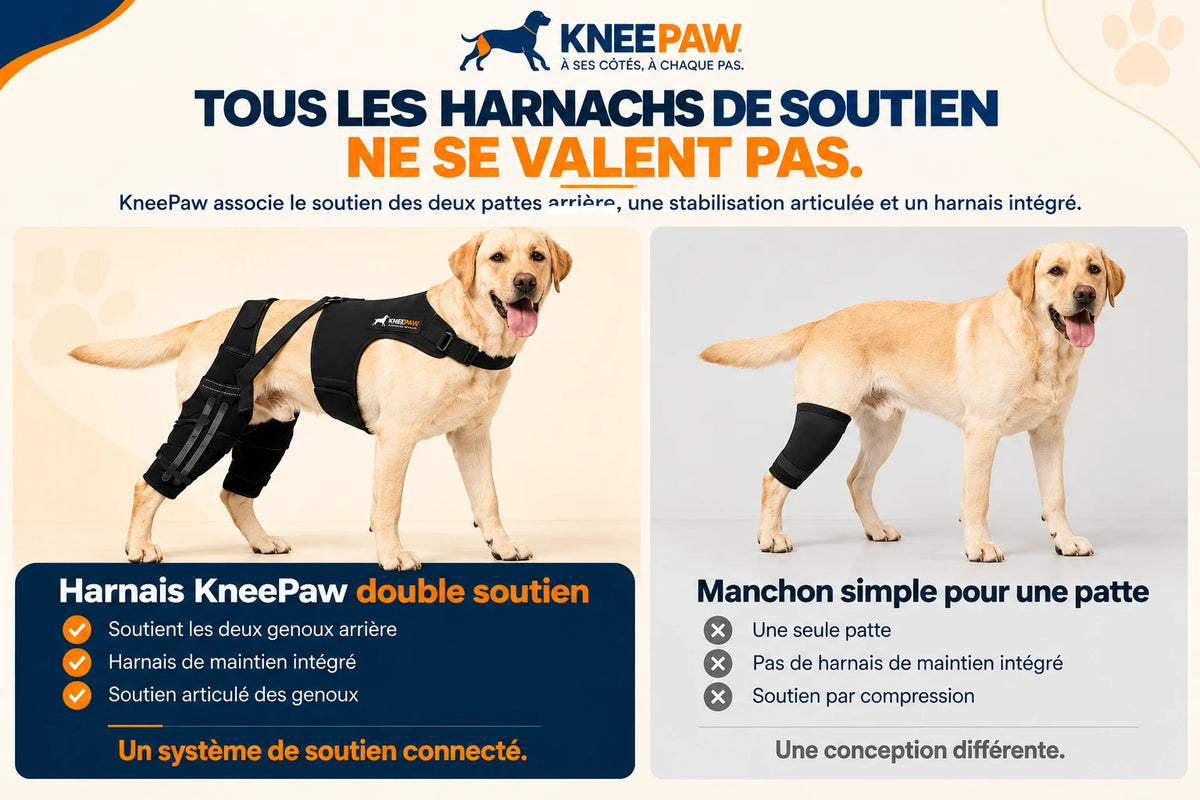 Comparaison : harnais double Kneepaw et manchon simple