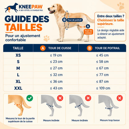 Guide des tailles Kneepaw