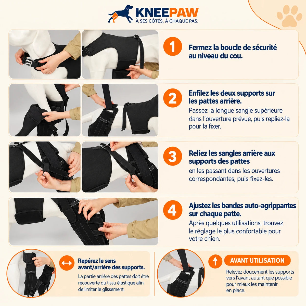 Mise en place du harnais Kneepaw en 4 étapes